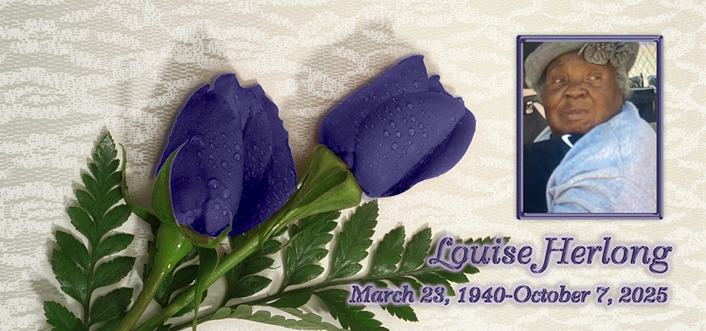 2 Purple Roses (Herlong) PROOF